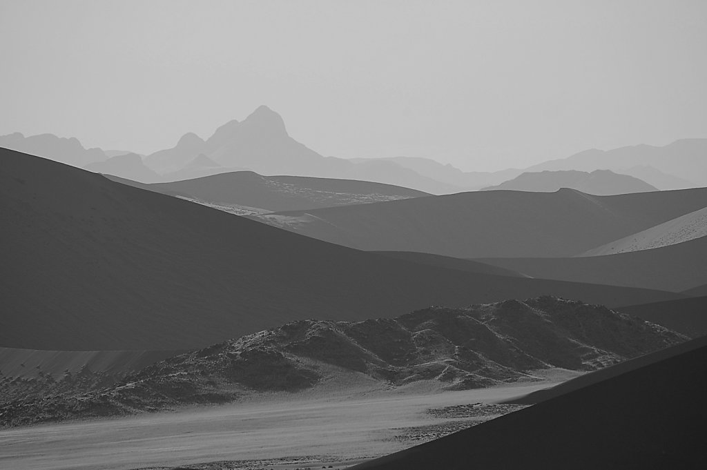 The namib desert